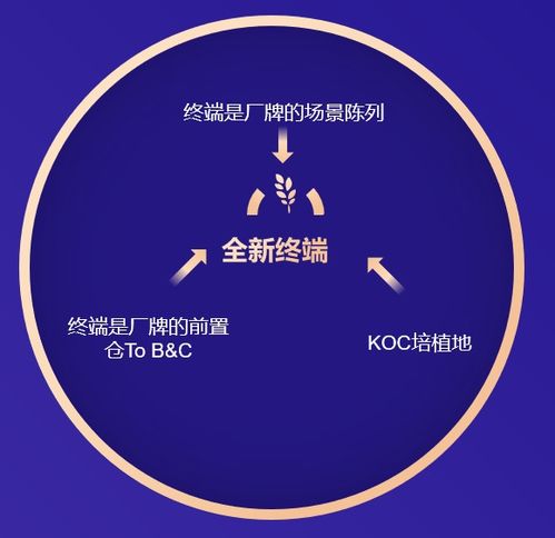 品牌精准定位与新终端商渠道一体化 精酿啤酒的区域崛起之道