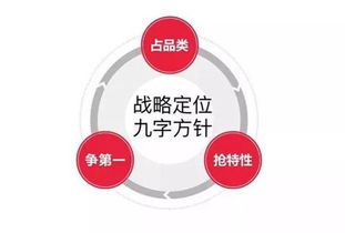 火山兔全网营销 解锁品牌个性化定位，引爆差异化价值！